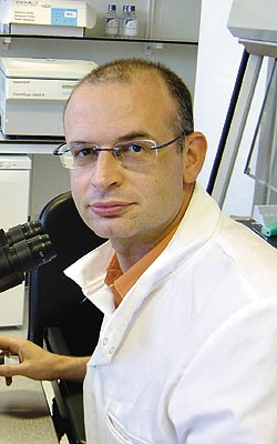 miodrag